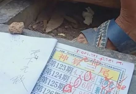 香港 第326頁(yè)