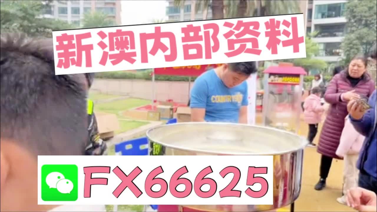 2025新澳天天開彩最新資料大全——全方位解析與預(yù)測，2025新澳天天開彩最新資料大全——全面解析與精準(zhǔn)預(yù)測