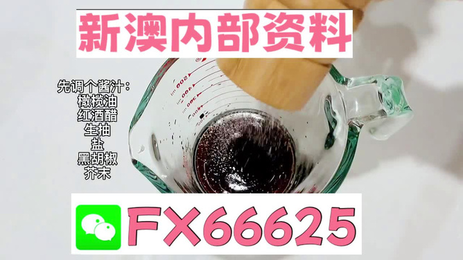 2025年新澳正版免費料，全面解析與獨家資訊，獨家解析，揭秘新澳正版免費料獨家資訊至2025年