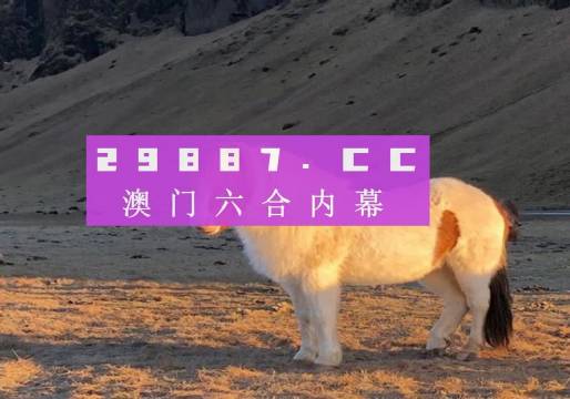 澳門天天彩資料正版免費(fèi)特色快8，探索彩票世界的魅力與機(jī)遇，澳門天天彩正版特色快8，彩票世界的魅力與機(jī)遇探索