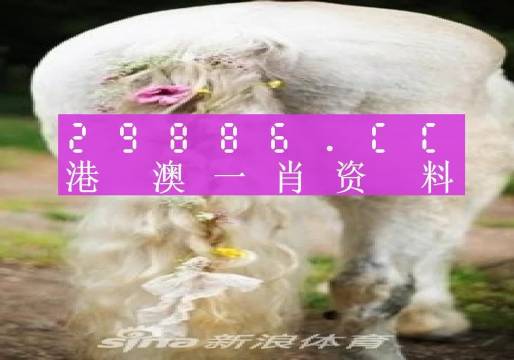 澳門羊了個羊與各大圖庫的資料揭秘，2023年澳門今晚必中一肖一碼永久免費資料庫大解密，澳門羊了個羊與資料庫揭秘，2023年必中一肖一碼永久免費資料大解密
