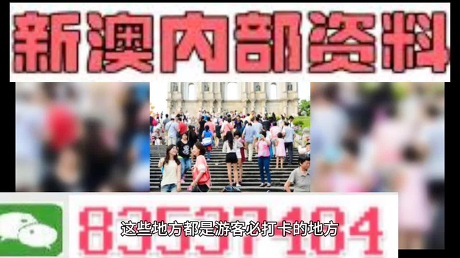 新澳天天開獎資料大全旅游團(tuán)——探索澳門的魅力之旅，澳門魅力探索之旅，新澳天天開獎資料大全旅游團(tuán)