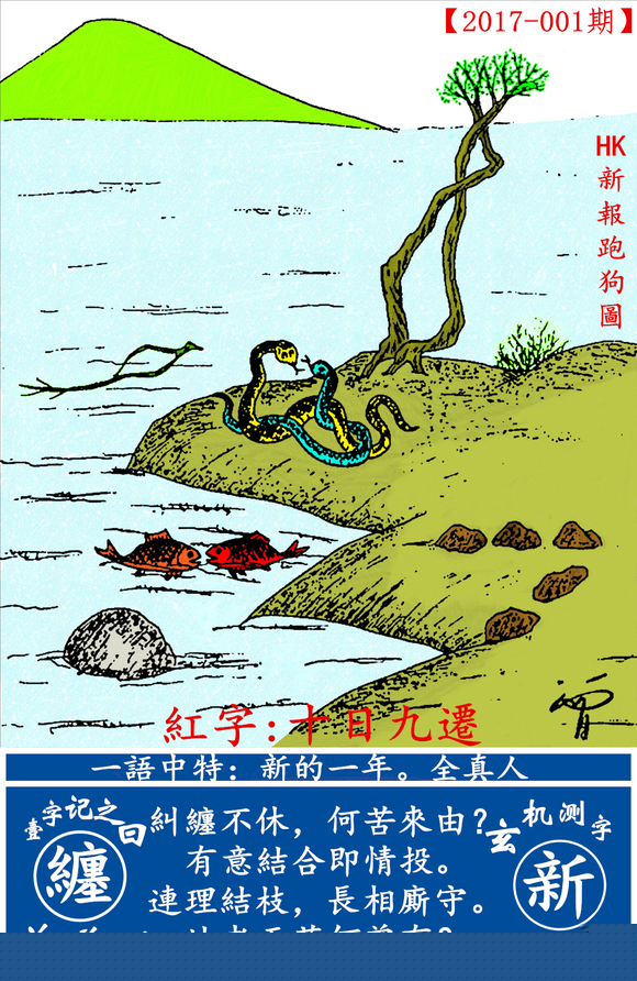 探索全新版跑狗圖，7777788888的魅力與策略，探索全新版跑狗圖，7777788888的魅力與攻略解析