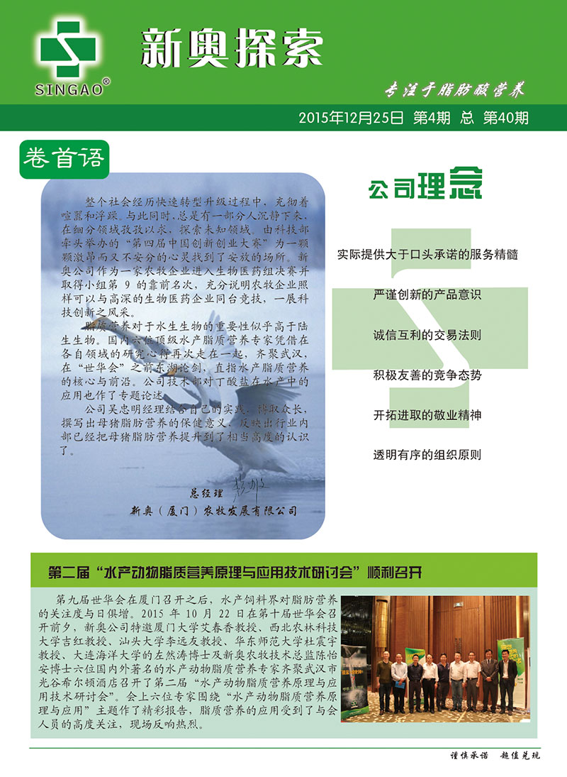 2025新澳正版資料查詢指南，2025新澳正版資料查詢手冊