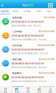 王中王72396免費版功能詳解，王中王72396免費版功能全面解析