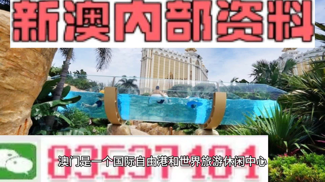 新澳的資料去哪里找——全面指南，新澳資料全攻略，尋找資料的途徑與指南