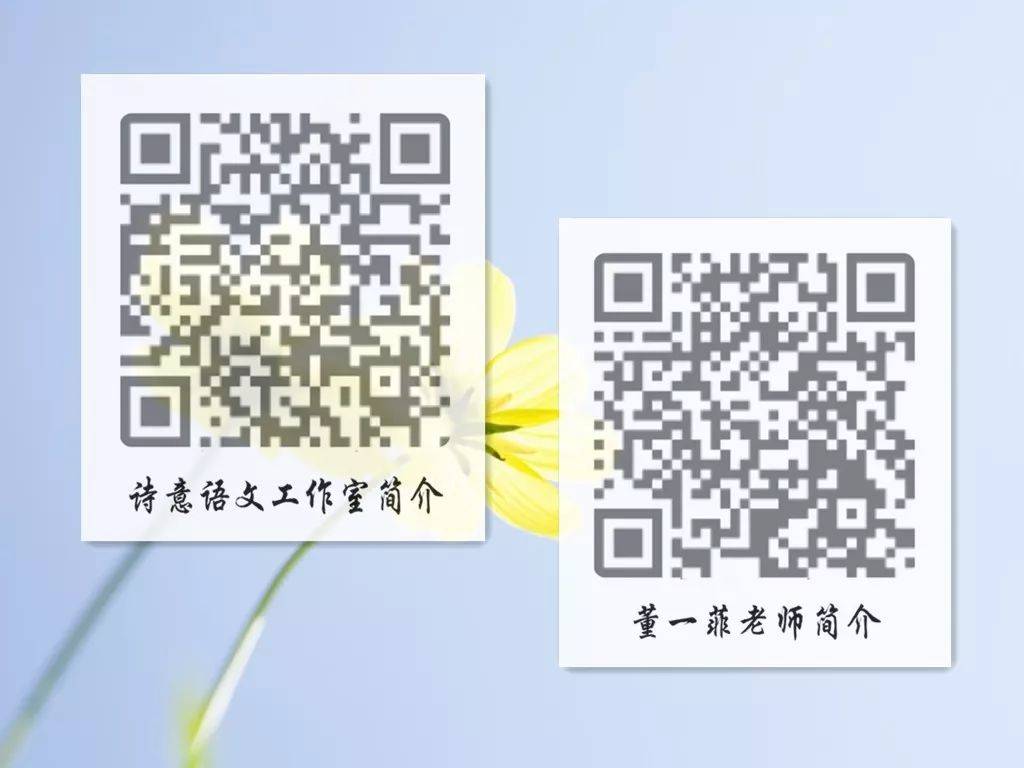 一碼一肖一特一，揭秘背后的秘密與獨(dú)特之處，揭秘一碼一肖一特一的獨(dú)特之處與背后秘密