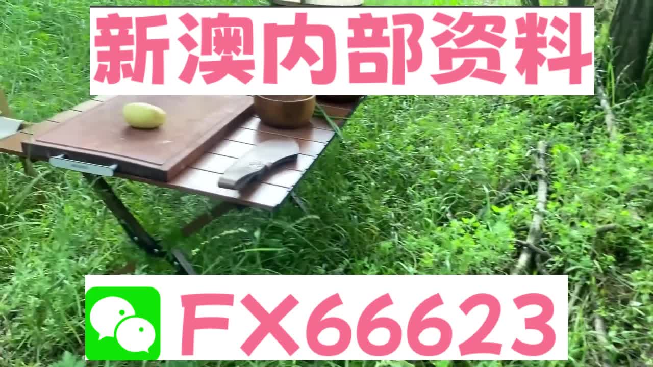 新奧特碼走勢(shì)圖解析與預(yù)測(cè)，新奧特碼走勢(shì)圖解析與預(yù)測(cè)，未來趨勢(shì)探討