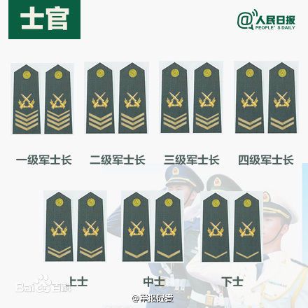 全球各國(guó)軍士長(zhǎng)軍銜對(duì)照表及其重要性，全球各國(guó)軍士長(zhǎng)軍銜對(duì)照表，揭示其重要性