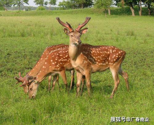 最新版本的6566cc澳彩資料大全介紹及特色功能解析，最新6566cc澳彩資料大全介紹與特色功能深度解析