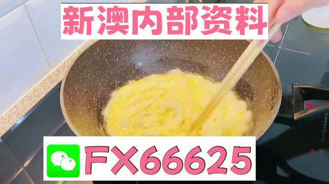 澳門九點半9點半網(wǎng)站——探索與體驗，澳門九點半網(wǎng)站，探索與體驗之旅