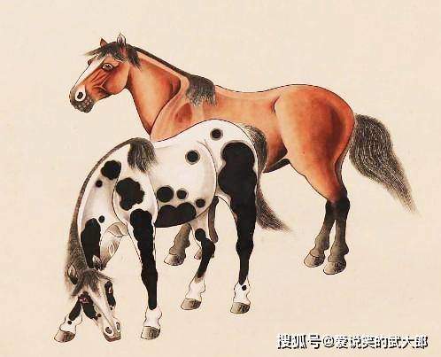 香港四不像一肖生肖圖，揭秘背后的神秘文化，香港四不像一肖生肖圖，神秘文化背后的揭秘