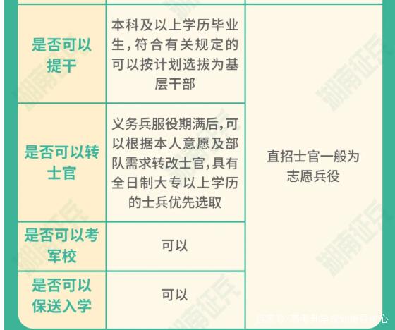 士官直招與義務(wù)兵的區(qū)別，深入了解軍隊(duì)招募制度，直招士官與義務(wù)兵招募制度深度解析，軍隊(duì)招募制度詳解