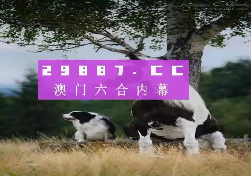 澳門(mén)正版全資料，探索2021年的無(wú)限可能，澳門(mén)正版全資料揭秘，2021年無(wú)限可能的探索