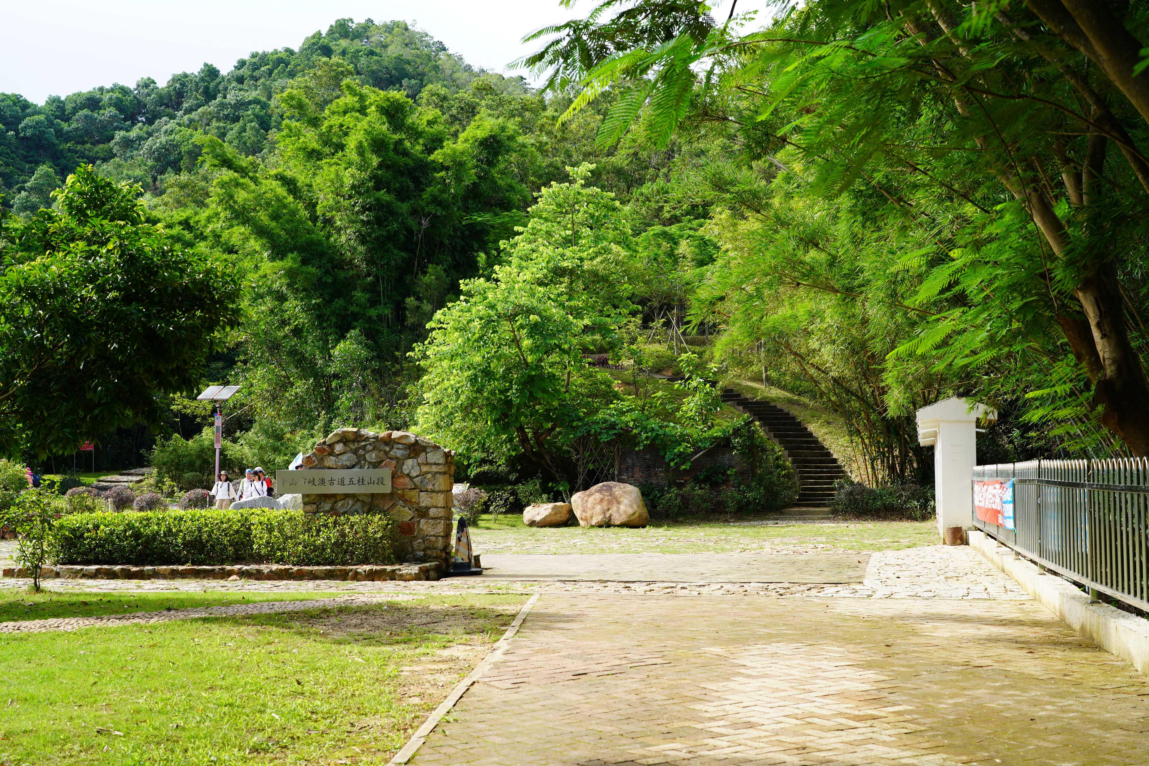 新澳門波色走勢圖表大全，深度解析與預(yù)測，澳門波色走勢圖表解析與預(yù)測大全