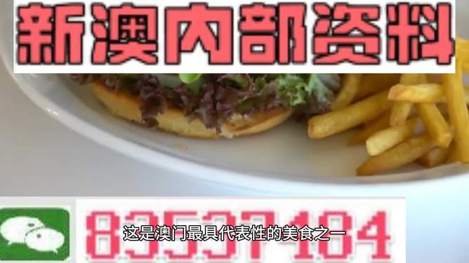 新澳2024生肖最新資料解析與預(yù)測，新澳2024生肖解析與預(yù)測報告