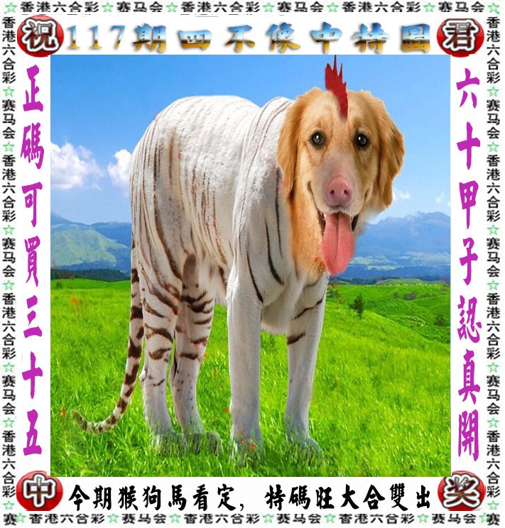 王中王四不像一肖論壇，探索神秘論壇的世界，王中王四不像一肖論壇，神秘論壇世界的探索之旅
