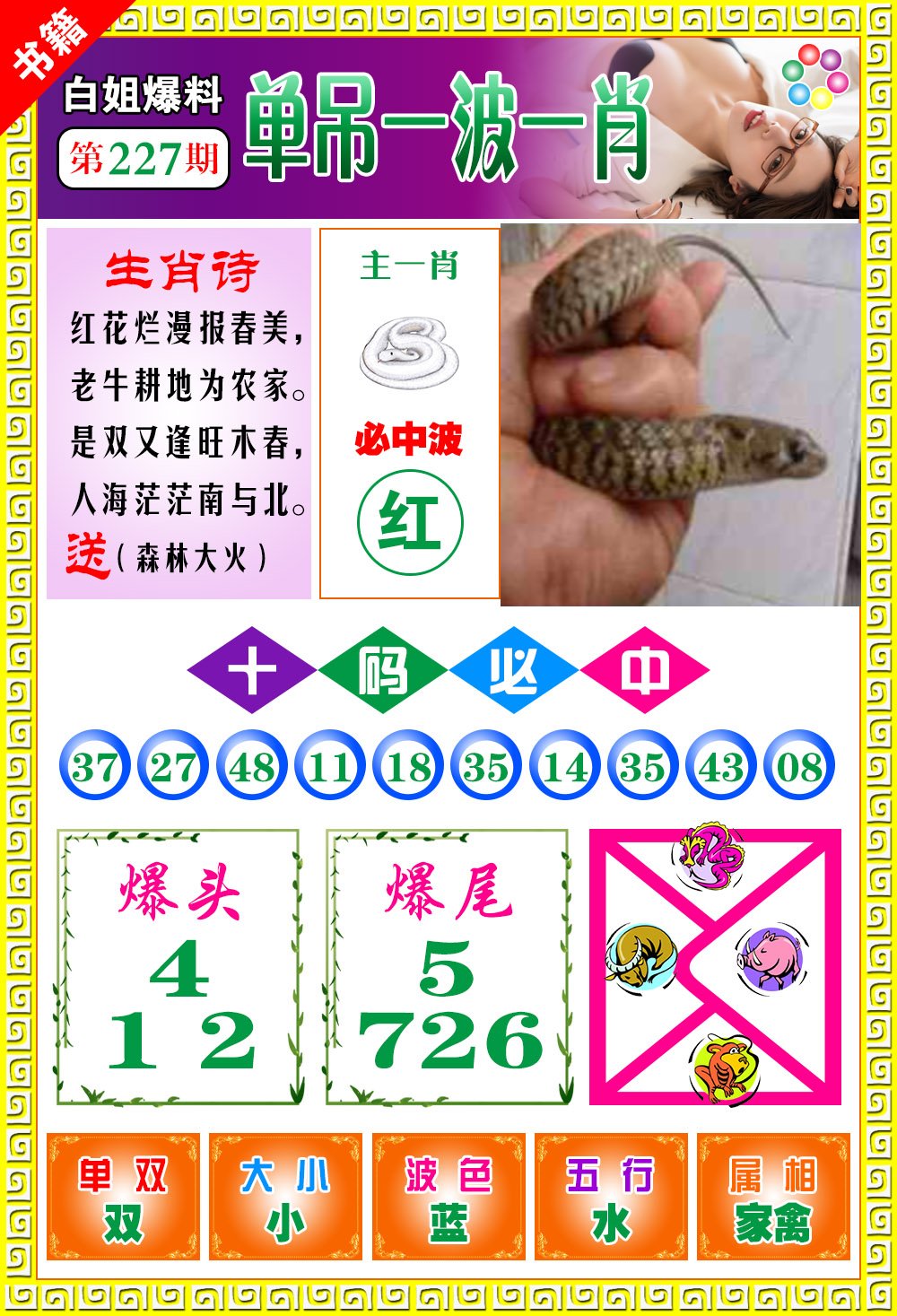 王中王100期期一肖，深度解析與SEO優(yōu)化策略，王中王100期期一肖深度解析與SEO策略全解析
