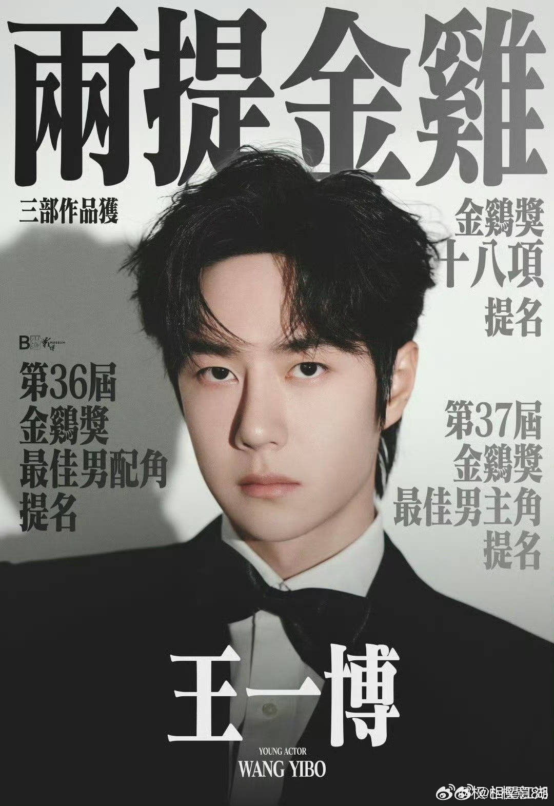 王中王一肖中特論特，深度解析與SEO洞察，深度解析王中王一肖中特論特與SEO洞察