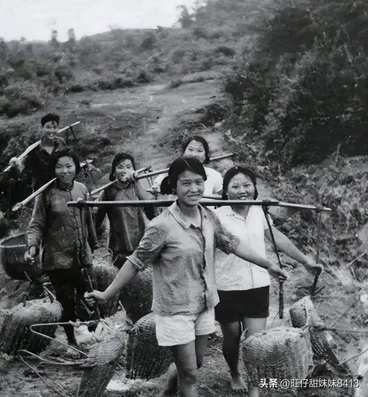 關(guān)于49圖庫圖片資料的專業(yè)解析與探索，49圖庫圖片資料深度解析與探索