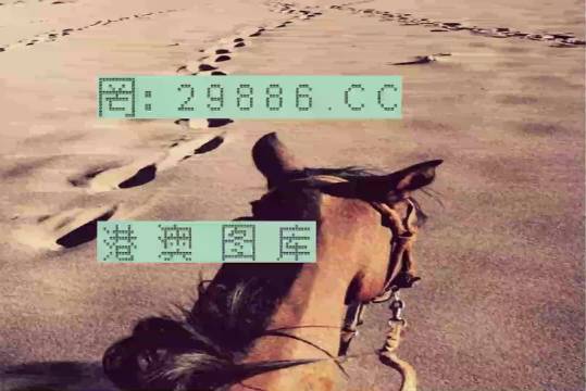 香港特馬資料王中王24期，深度解析與探索，香港特馬資料王中王深度解析與探索，第24期探索之旅