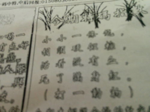 劉伯溫特一肖王中王，傳奇人物與生肖之王的神秘結(jié)合，劉伯溫生肖傳奇，傳奇人物與生肖之王的神秘交融