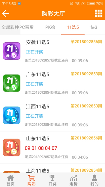 王中王黃金一肖二碼資料，深度解析與SEO優(yōu)化，王中王黃金一肖二碼資料深度解析與SEO優(yōu)化技巧