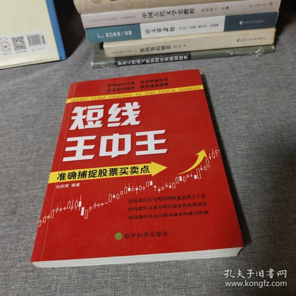 王中王平特一肖中的奧秘與探索，王中王平特一肖的奧秘與探索之旅