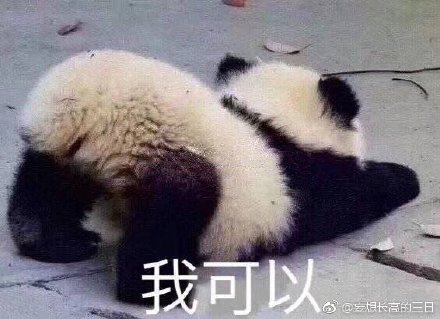 澳門精準四不像最新正版，揭秘與探索，澳門精準四不像揭秘與探索最新正版資訊