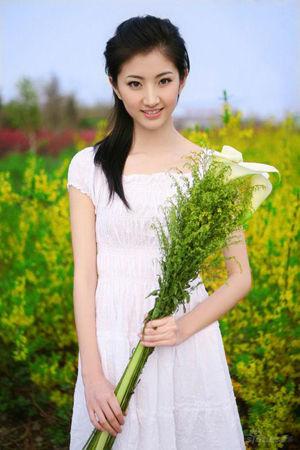 新澳門生肖走勢圖精準版，解讀與SEO策略，新澳門生肖走勢圖精準解讀與SEO策略揭秘
