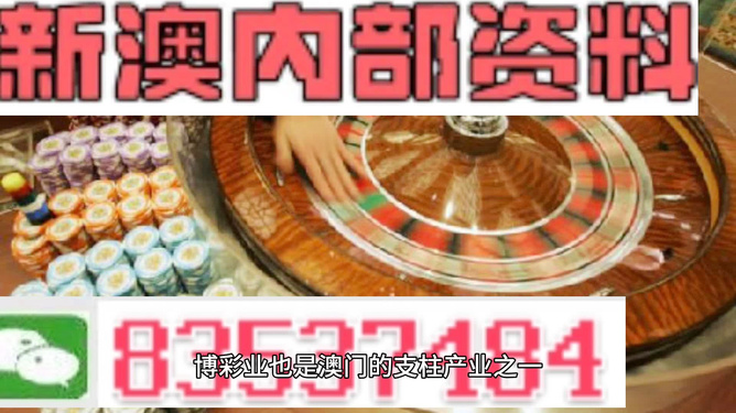 新澳正版資料免費(fèi)提供，全面解析與深度探索，新澳正版資料全面解析與深度探索，免費(fèi)提供的指南