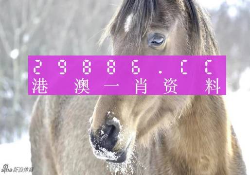 揭秘最準(zhǔn)一肖一碼，探尋神秘的生肖預(yù)測(cè)奧秘，揭秘生肖預(yù)測(cè)真相，最準(zhǔn)一肖一碼探尋記
