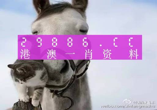揭秘劉伯溫四肖選一碼的意思——探尋背后的故事與真相，揭秘劉伯溫四肖選一碼背后的真相與故事