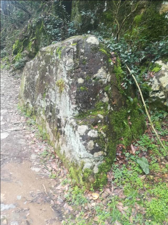 揭秘四不像劉伯溫一肖圖——探尋背后的神秘故事與SEO奧秘，揭秘四不像劉伯溫一肖圖背后的神秘故事與SEO奧秘探索