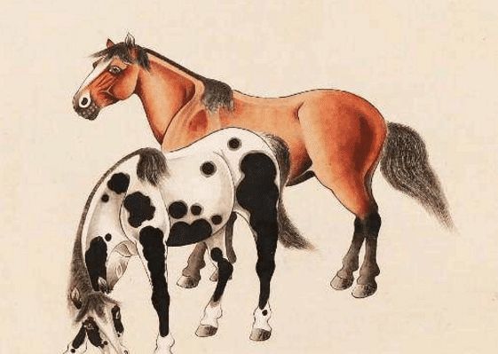 馬一王中王特平一肖圖，深度解析與SEO優(yōu)化策略，深度解析馬一王中王特平肖圖，SEO優(yōu)化策略探討