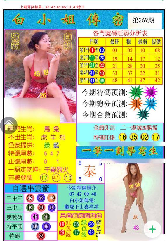 揭秘白小姐與王中王平持一肖的神秘面紗，白小姐與王中王，揭秘神秘生肖預(yù)測面紗