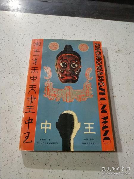 王中王資料與肖中特，深度解析，王中王資料與肖中特深度剖析
