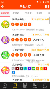 探索域名www王中王平特一肖c.m背后的故事，揭秘域名www王中王平特一肖c.m背后的故事