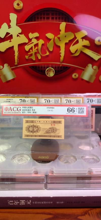 王中王廣東一肖，探尋背后的故事與奧秘，王中王廣東一肖，背后的故事與奧秘探尋