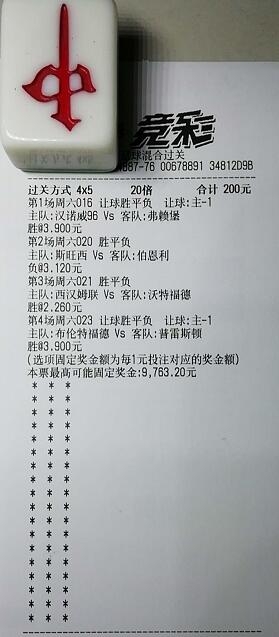 揭秘買一肖中獎的賠率與風險，你真的準備好了嗎？，揭秘買一肖中獎背后的賠率與風險，你真的做好準備了嗎？