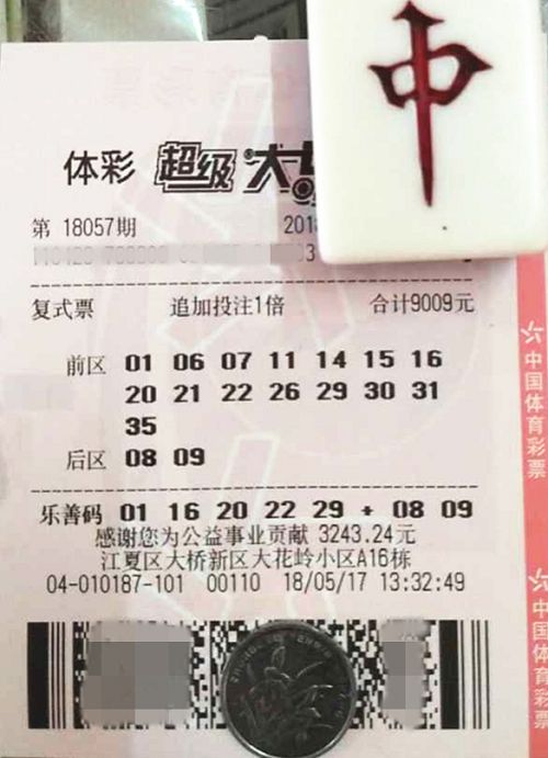澳門六開彩天天開獎結果查詢，輕松掌握最新動態(tài)，澳門六開彩最新開獎結果查詢，輕松掌握每日動態(tài)