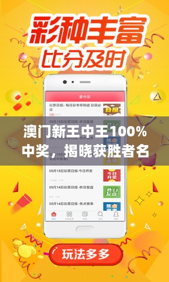 王中王藏寶閣猜一肖，揭秘背后的秘密與SEO策略，王中王藏寶閣猜一肖背后的秘密與SEO策略揭秘