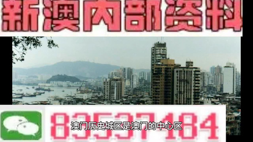 澳門全年最全免費(fèi)資料大全，探索無盡的資源寶庫，澳門全年免費(fèi)資料寶庫，探索無盡資源之旅