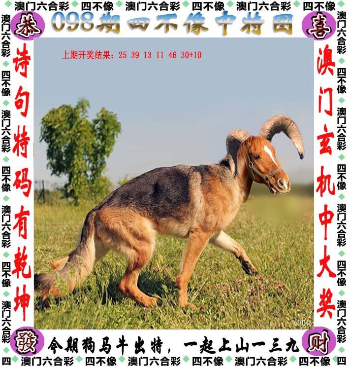 澳門四不像圖，神秘與獨(dú)特的藝術(shù)魅力，澳門四不像圖，神秘獨(dú)特的藝術(shù)魅力