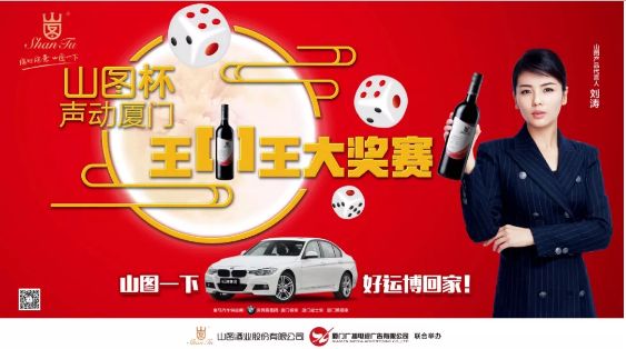 揭秘王中王背后的故事，從肖中的視角看其在SEO領(lǐng)域的輝煌成就，肖中視角下的王中王，SEO領(lǐng)域的輝煌成就揭秘