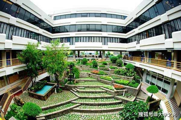 新澳芳草，最精準(zhǔn)的探尋與體驗，新澳芳草，精準(zhǔn)探尋與獨特體驗