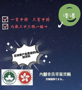 揭秘香港王中王，探尋肖中特背后的秘密，揭秘香港王中王背后的秘密與肖中特真相探索