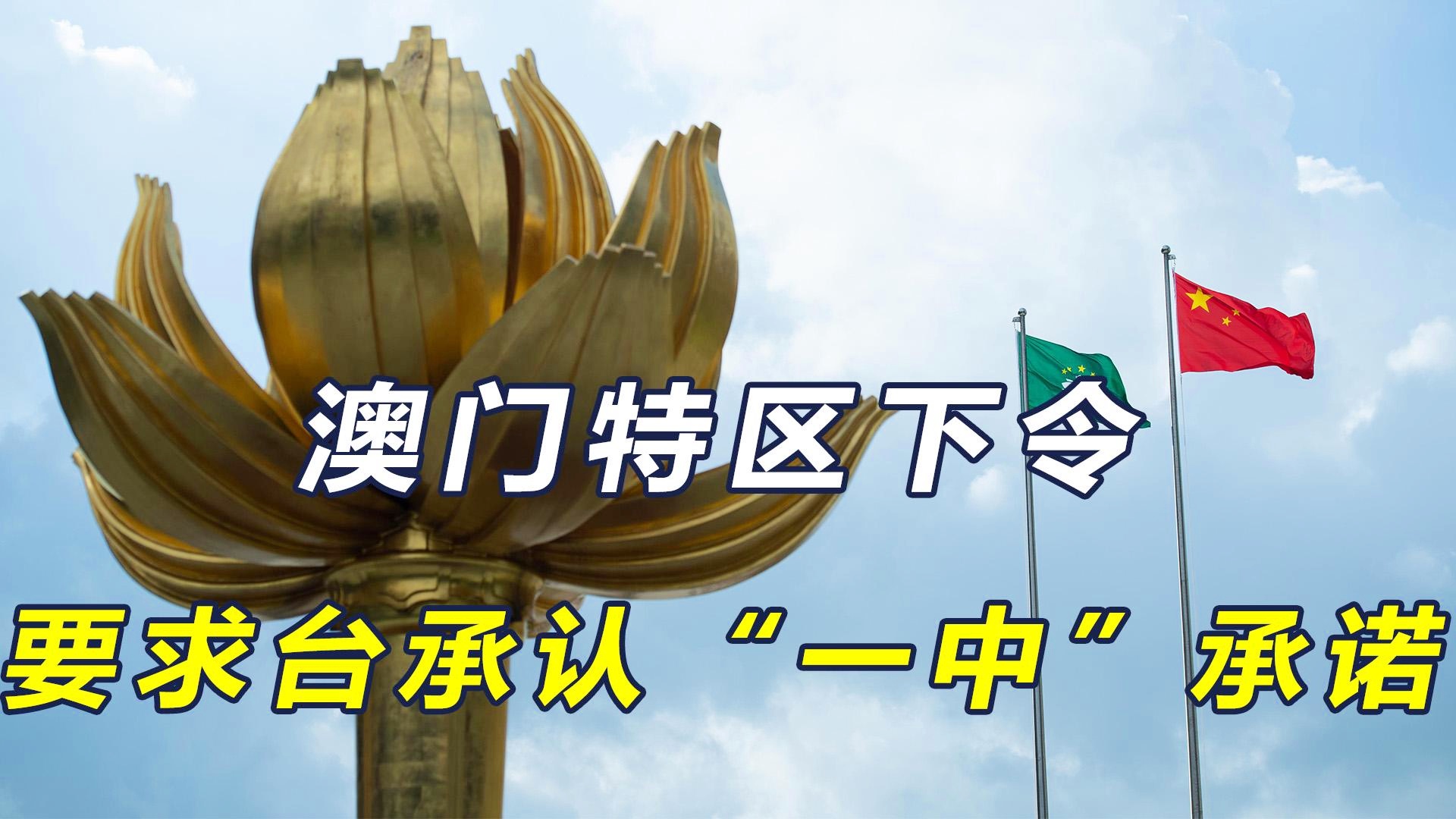 澳門一碼一肖一特一中今晚預(yù)測與探索，澳門今晚一碼一肖一特一中預(yù)測與揭秘