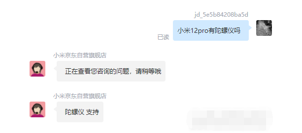 王中王一肖碼，探索關(guān)鍵詞背后的奧秘，王中王一肖碼，揭秘關(guān)鍵詞背后的奧秘