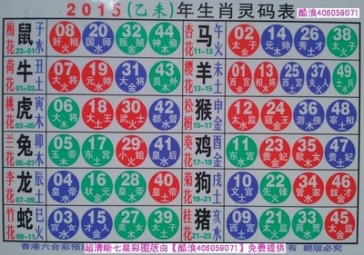 揭秘2025十二生肖與數(shù)字彩票的神奇聯(lián)系——49碼表全解析，揭秘十二生肖與數(shù)字彩票的神秘聯(lián)系，2025年49碼表深度解析